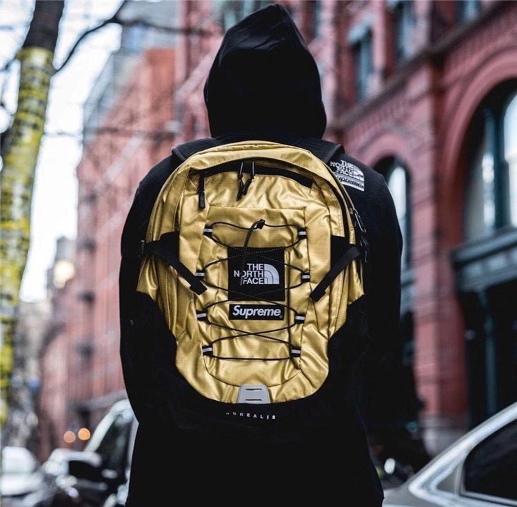 SUPREME & THE NORTH FACE Metallic Borealis Backpack